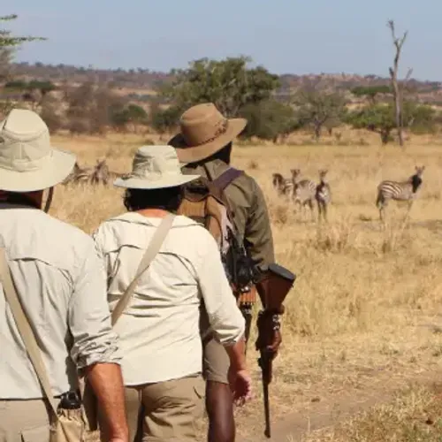 Tanzania safari itinerary Lake Manyara, Serengeti, Ngorongoro & Tarangire — Serengeti, Ngorongoro & bush camps with Ascend Tanzania