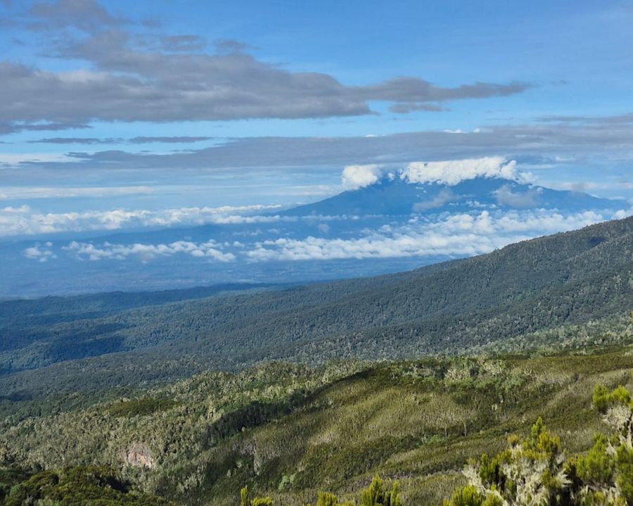 Amazing view Kilimanjaro
