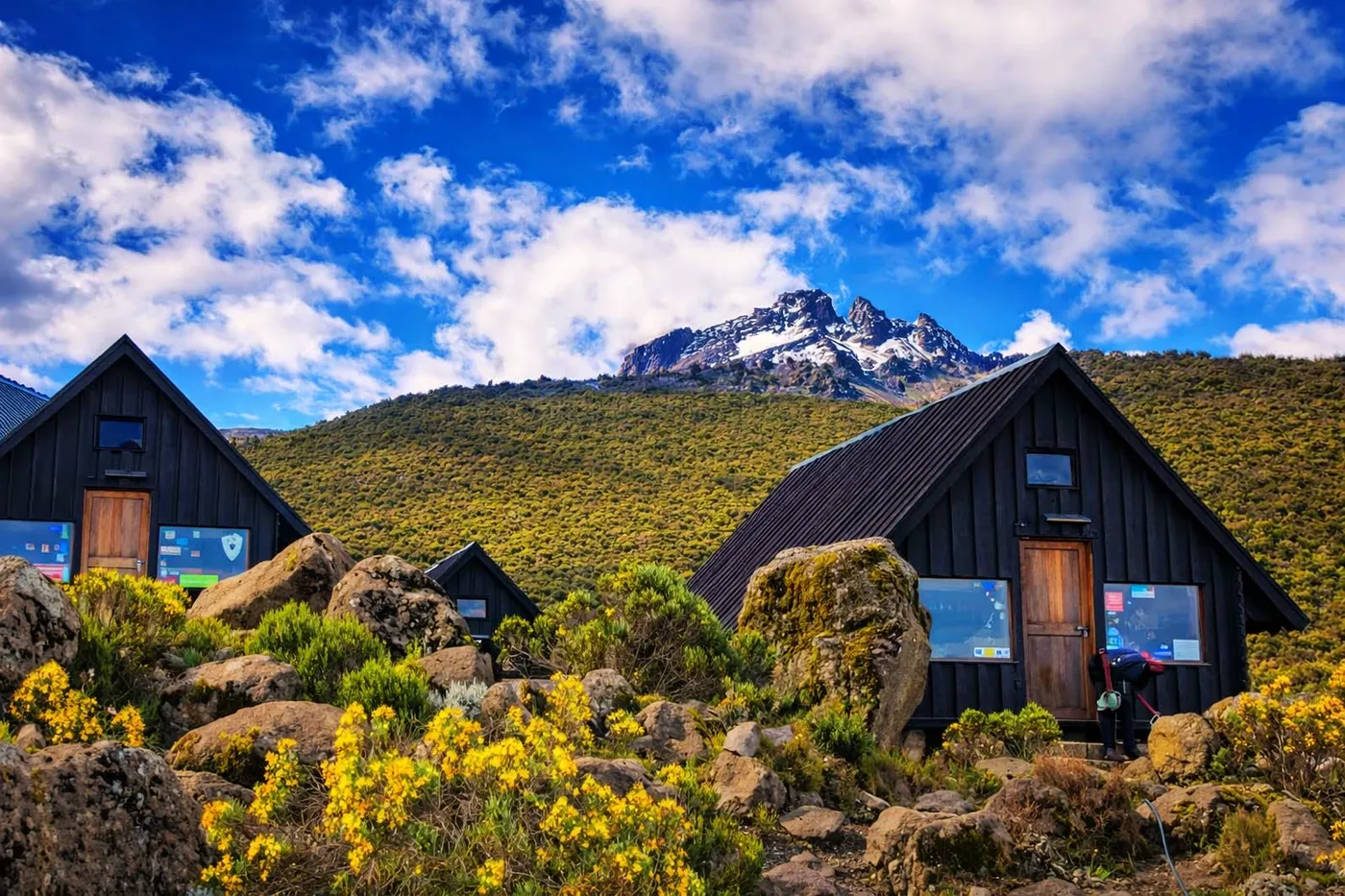 Private Kilimanjaro Rongai route — The Quiet North. Ascend Tanzania treks.
